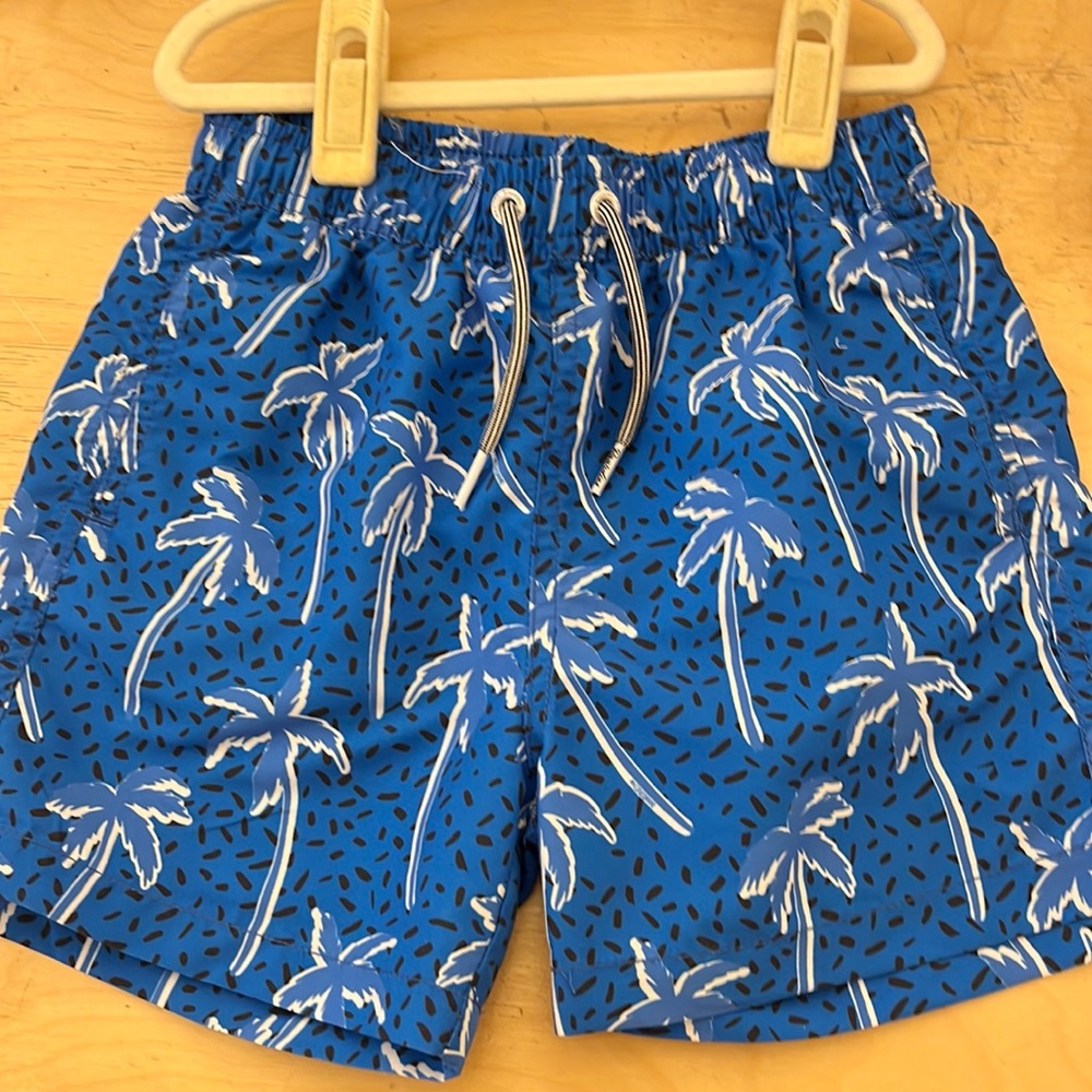Boardies boys palm tree retro swim trunk